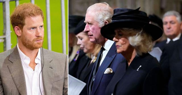 prince harry nasty remarks queen consort royal family feud pp