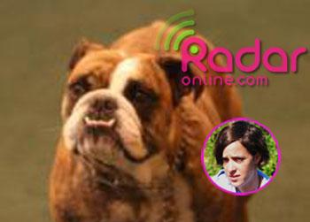 //postpicsamantharonsondog