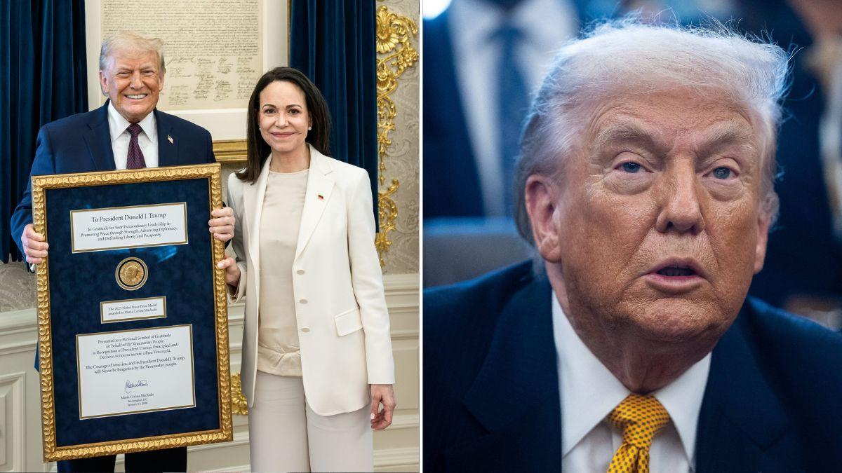 Composite photo of Donald Trump