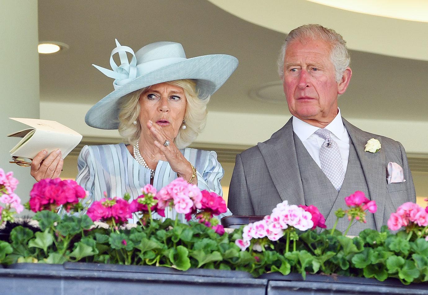 prince charles camilla royal ascot photos harry meghan markle princess diana statue unveiling r