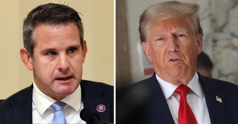 adam kinzinger calls donald trump a professional victim