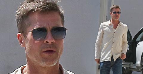 Brad Pitt Skinny Rare Infectious Disesase