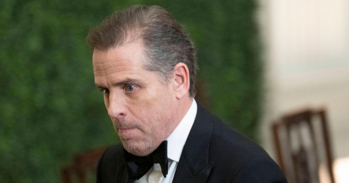 Hunter Biden Befriends Kevin McCarthy's Mom At White House State Dinner