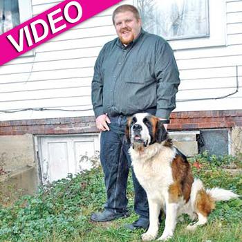 //hercules saint bernard saves family