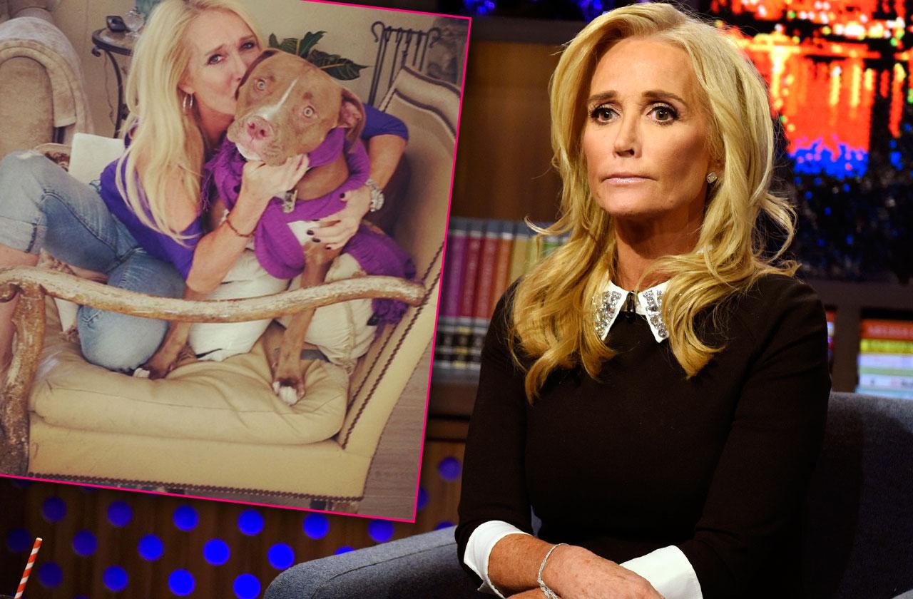 //kim richards pitbull kingsley dog bite lawsuit pp