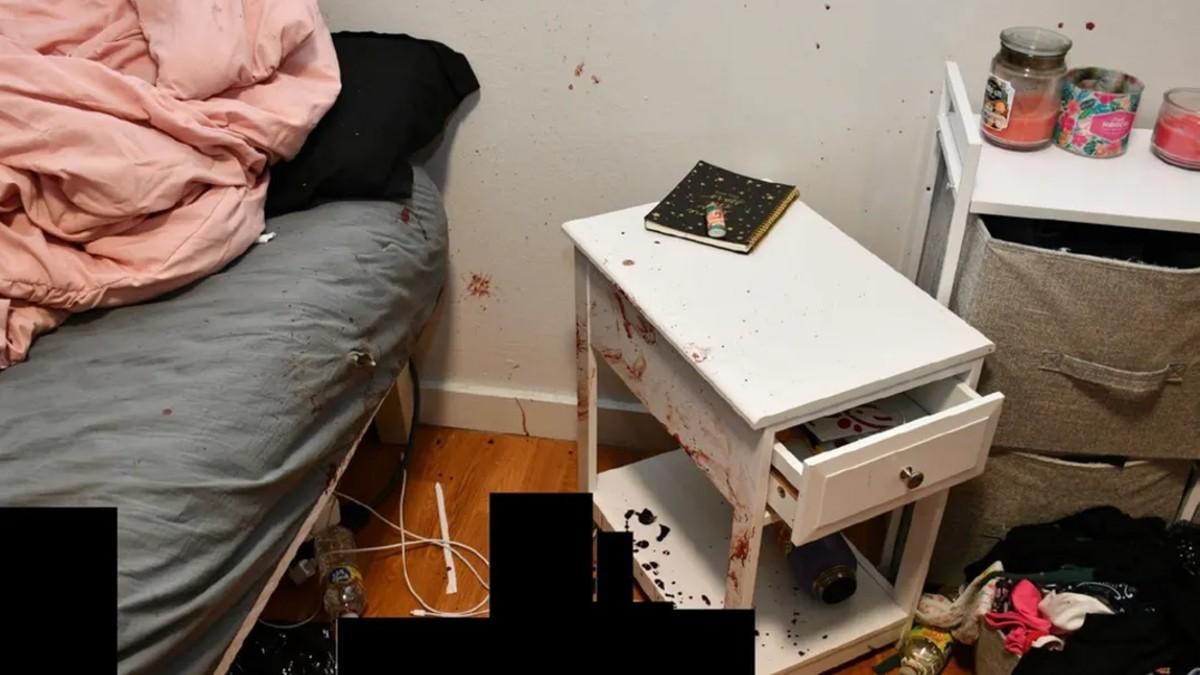 The rooms can be seen covered in blood following the attack.