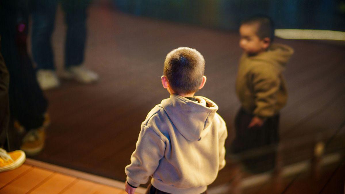 Billionaire Xu Bo reportedly used American surrogates as part of plans to build a family of up to 300 children.