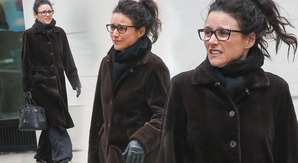 No Makeup, No Problem! 'Veep' Vixen Julia Louis-Dreyfus A Barefaced ...