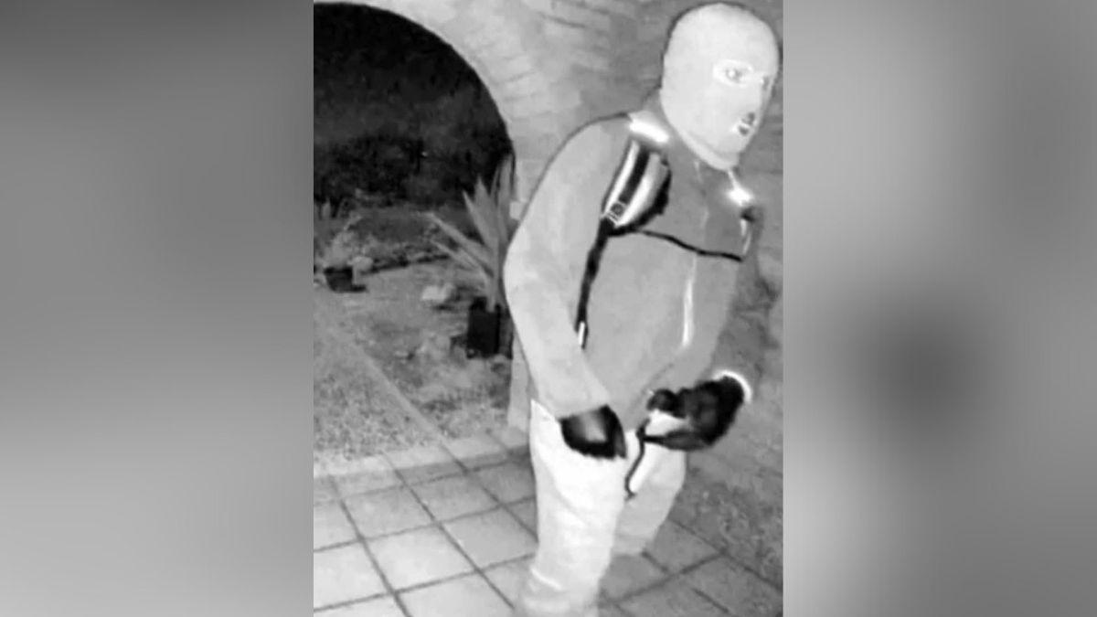 Photo of Nancy Guthrie Suspect