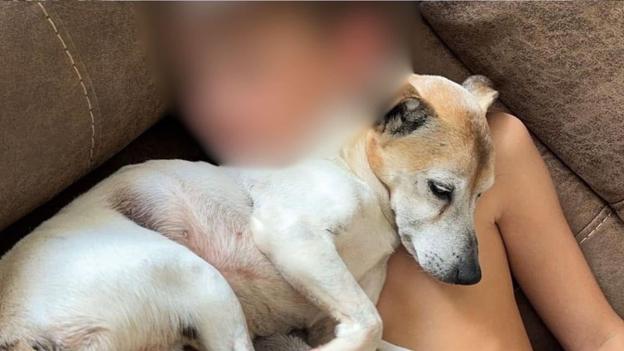 She clapped back at critics after another pet, Ryder, escaped her property.