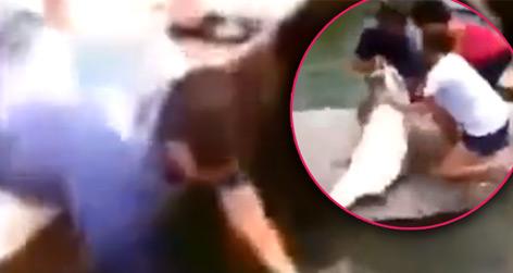 //fishcatchesman_youtube