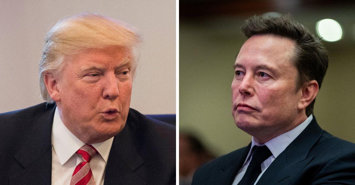 Split photo of Donald Trump, Elon Musk