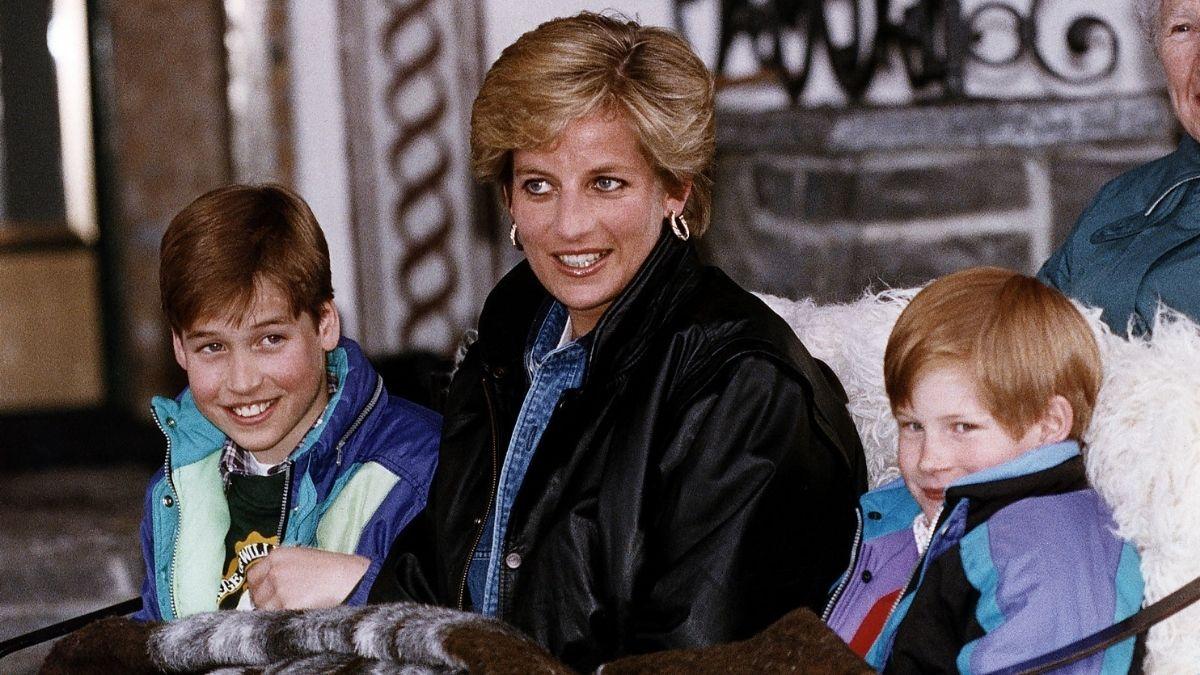 picture of prince william, princess diana and prince harry