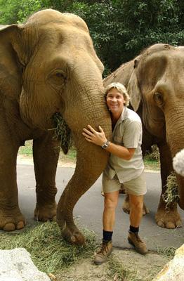 From New Footage To Last Words—20 Secrets & Scandals Surrounding Crocodile Hunter Steve Irwin’s Death Revealed