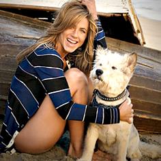 //jennifer aniston pampers pooches anti aging water