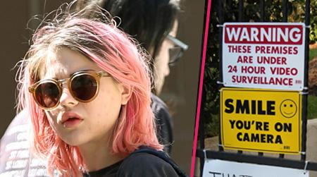 //frances bean security pp