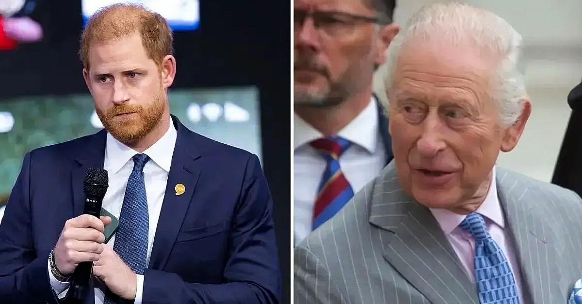 Photo of Prince Harry and King Charles