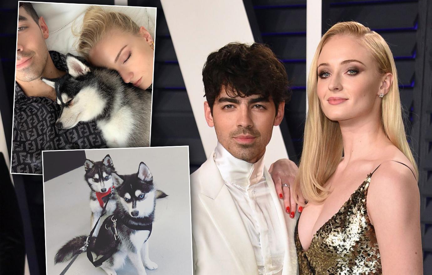 Celebrity Pet Deaths Of 2019