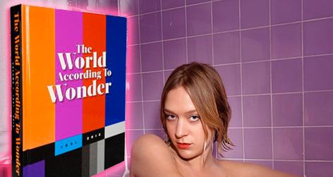 //the world according to wonder post