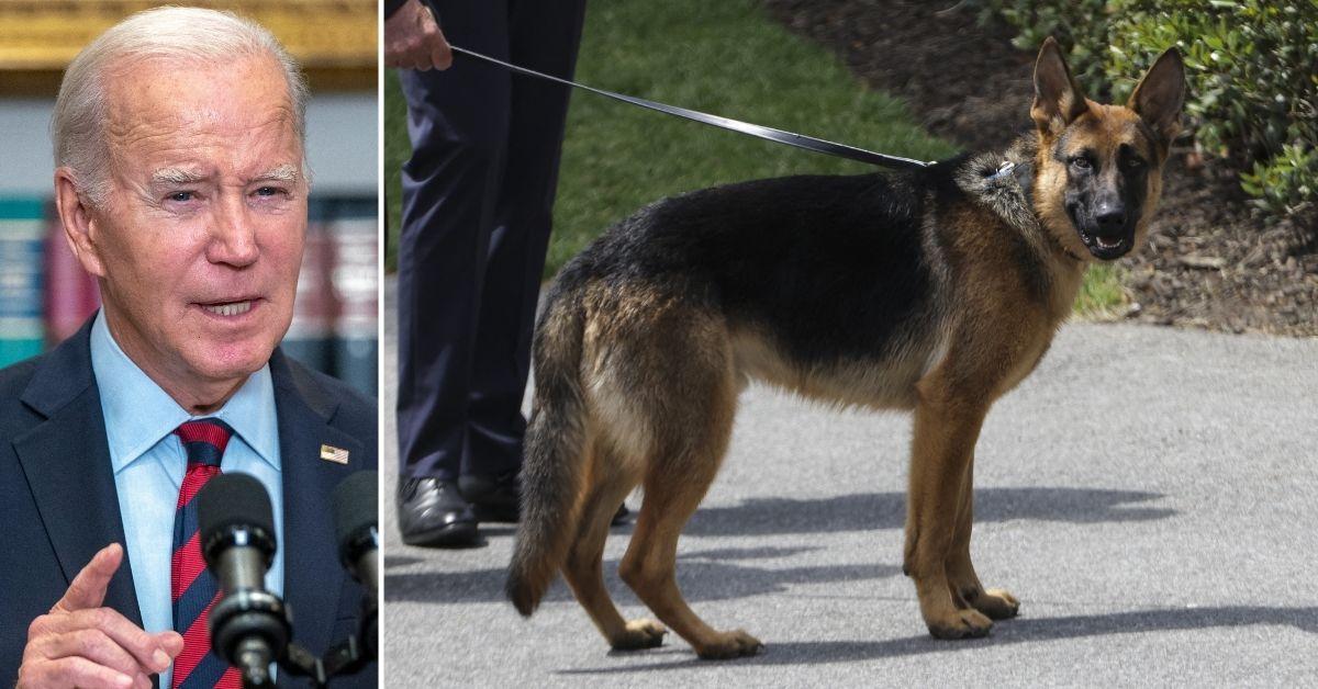 Joe Biden's Dog Commander Removed From White House