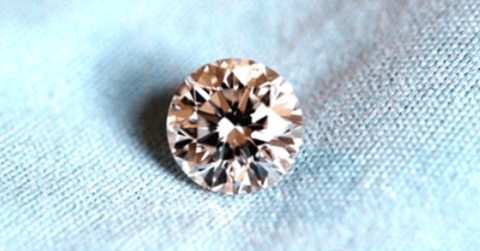 a close up of a pine cone description automatically generated with low confidence