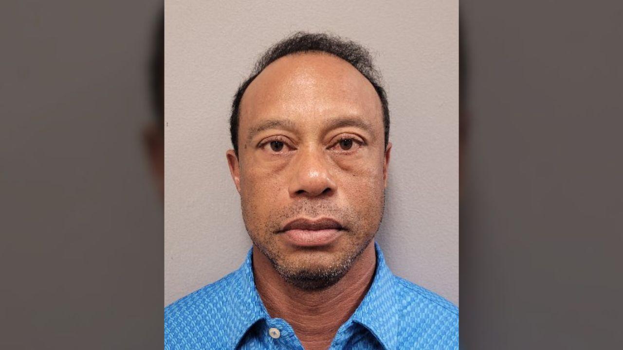 image of Tiger Woods' outing came just days after he appeared in court to finalize his plea deal.
