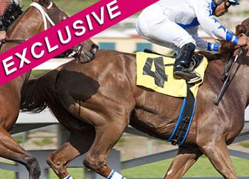 //luck cancelled horse death