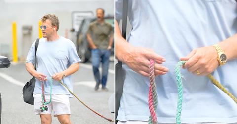 emily ratajkowski husband no ring dog first sighting divorce