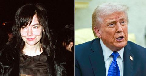 picture of Bjork and Donald Trump