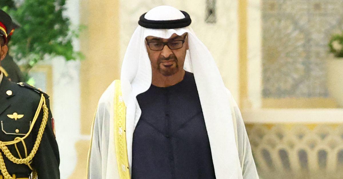 Photo of  Mohamed bin Zayed Al Nahyan
