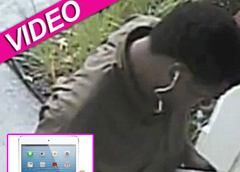 //ups driver steals ipad