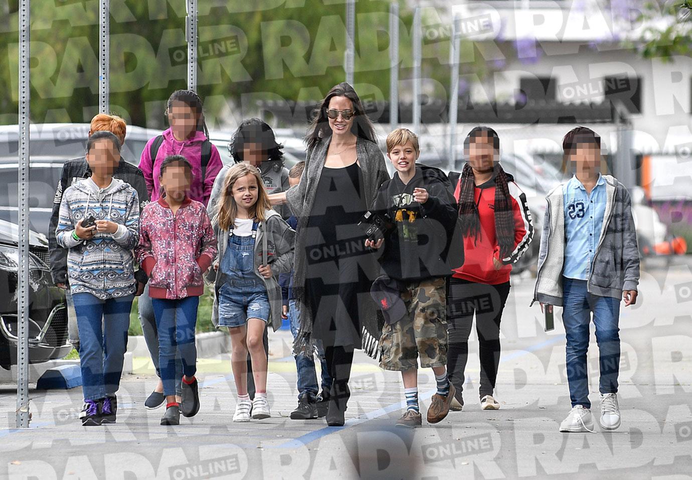 Angelina Jolie Divorce Kids Adopting