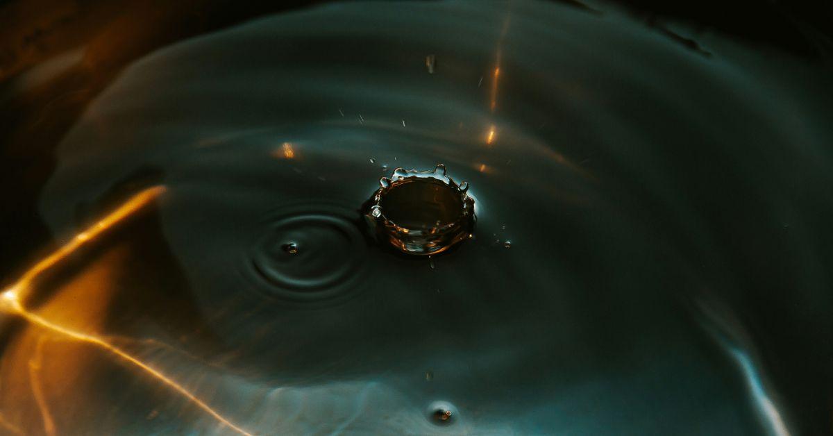 Dr. Bill Birnes said aliens may have established underwater bases to monitor human evolution.