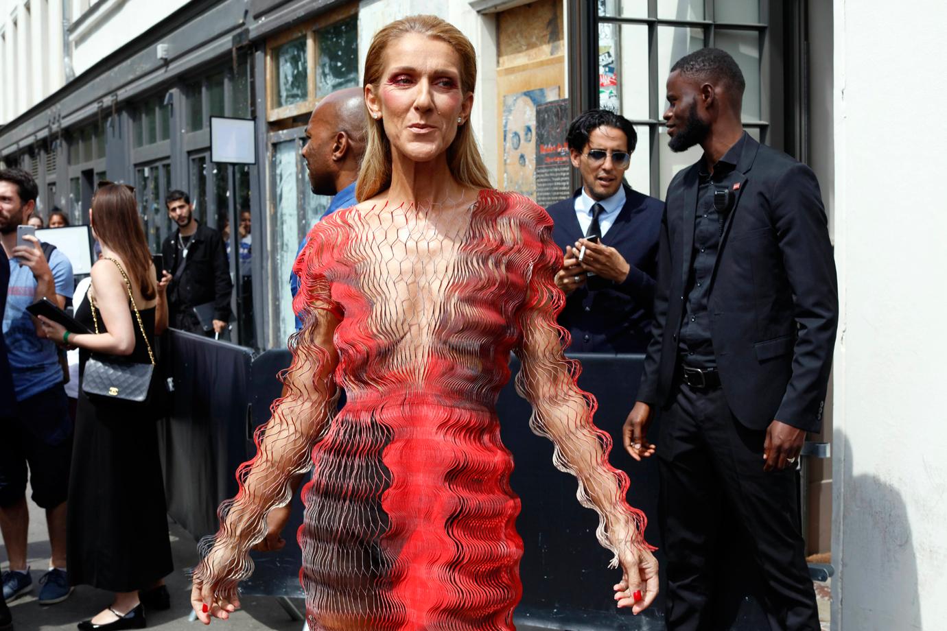 Celine Dion wears a risque red dress.