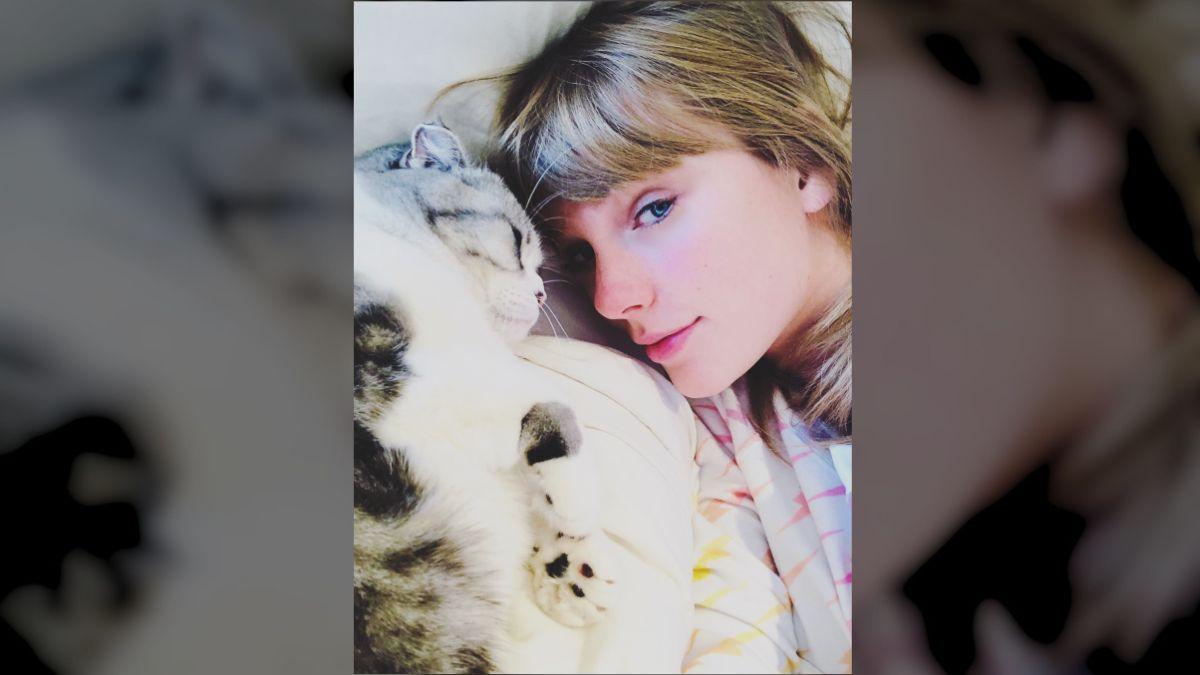 Photo of Taylor Swift and her cat.