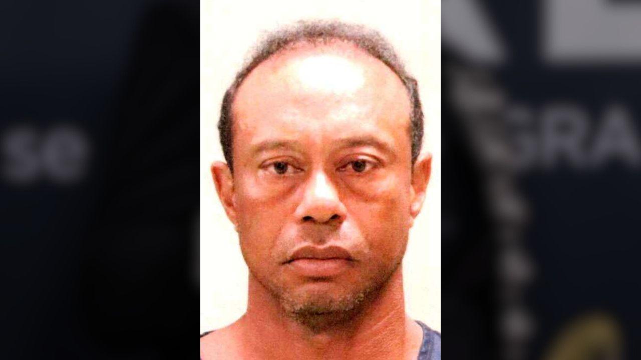picture of tiger woods