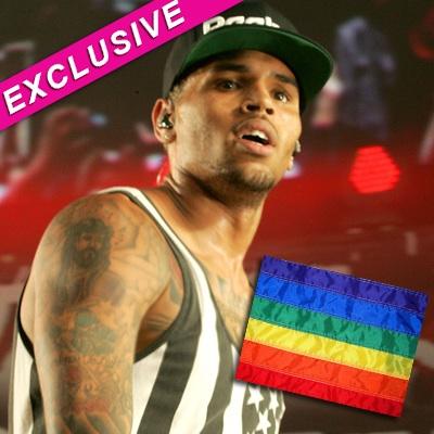 Gay Rights Group Slams Chris Brown's Homophobic Rant