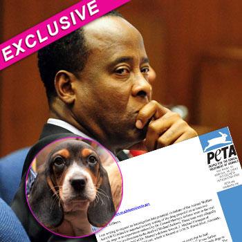 //conrad murray peta splash getty