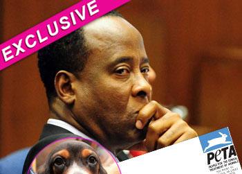 //conrad murray peta splash getty