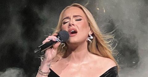 adele declares she drank bottles wine one night