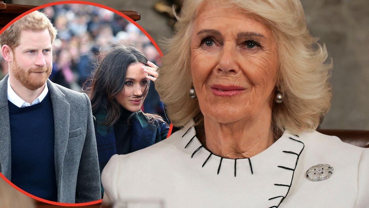 Split photo of Queen Camilla,Prince Harry and Meghan Markle