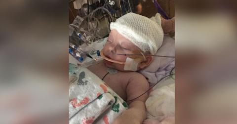 //mckenna hovenga baby girl hit head baseball game PP