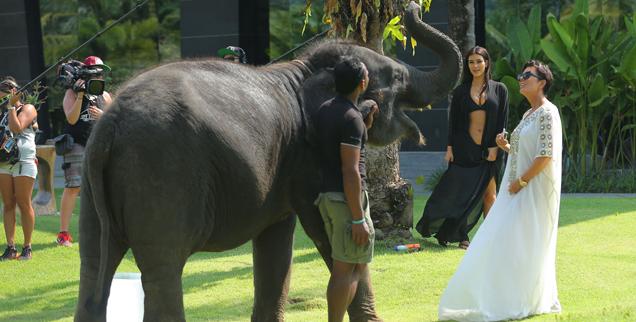 //kim kardashian scared elephants thailand family holiday