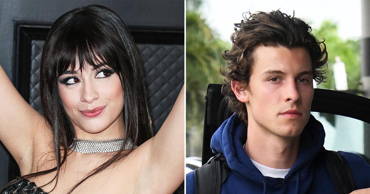 Camila Cabello Spices Up Single Status Hits Sex Shop After Shawn Mendes Breakup