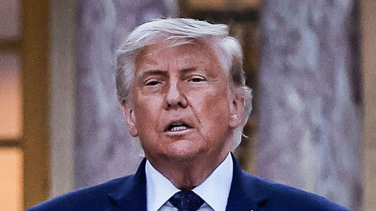 picture of Donald Trump