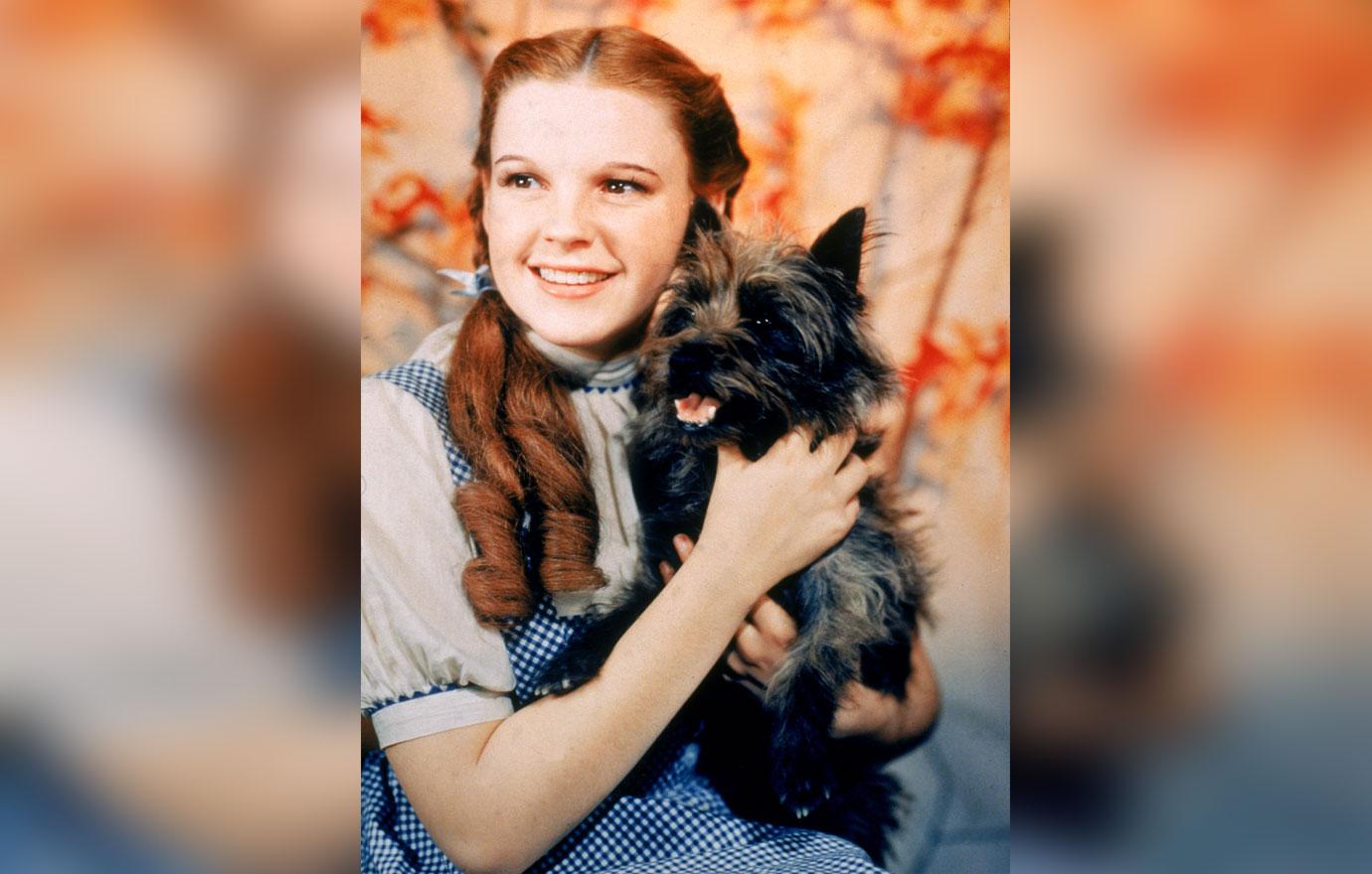 Secrets & Scandals of 'The Wizard of Oz' Exposed!