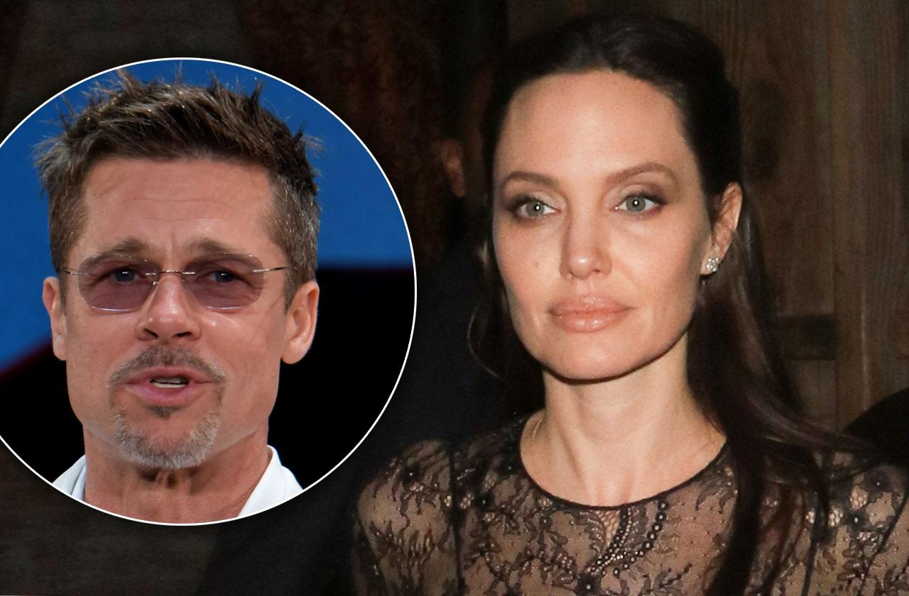 Angelina Jolie Brad Pitt Family Custody Battle