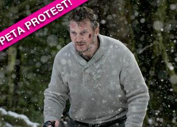 //liam neesons the grey