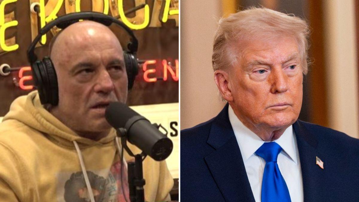 Joe Rogan endorsed Donald Trump in the 2024 presidential election.
