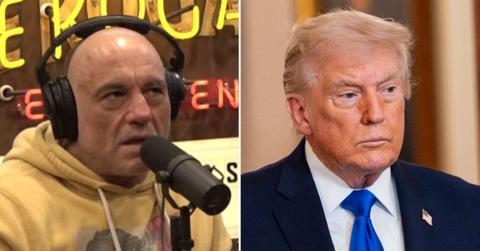 Joe Rogan endorsed Donald Trump in the 2024 presidential election.